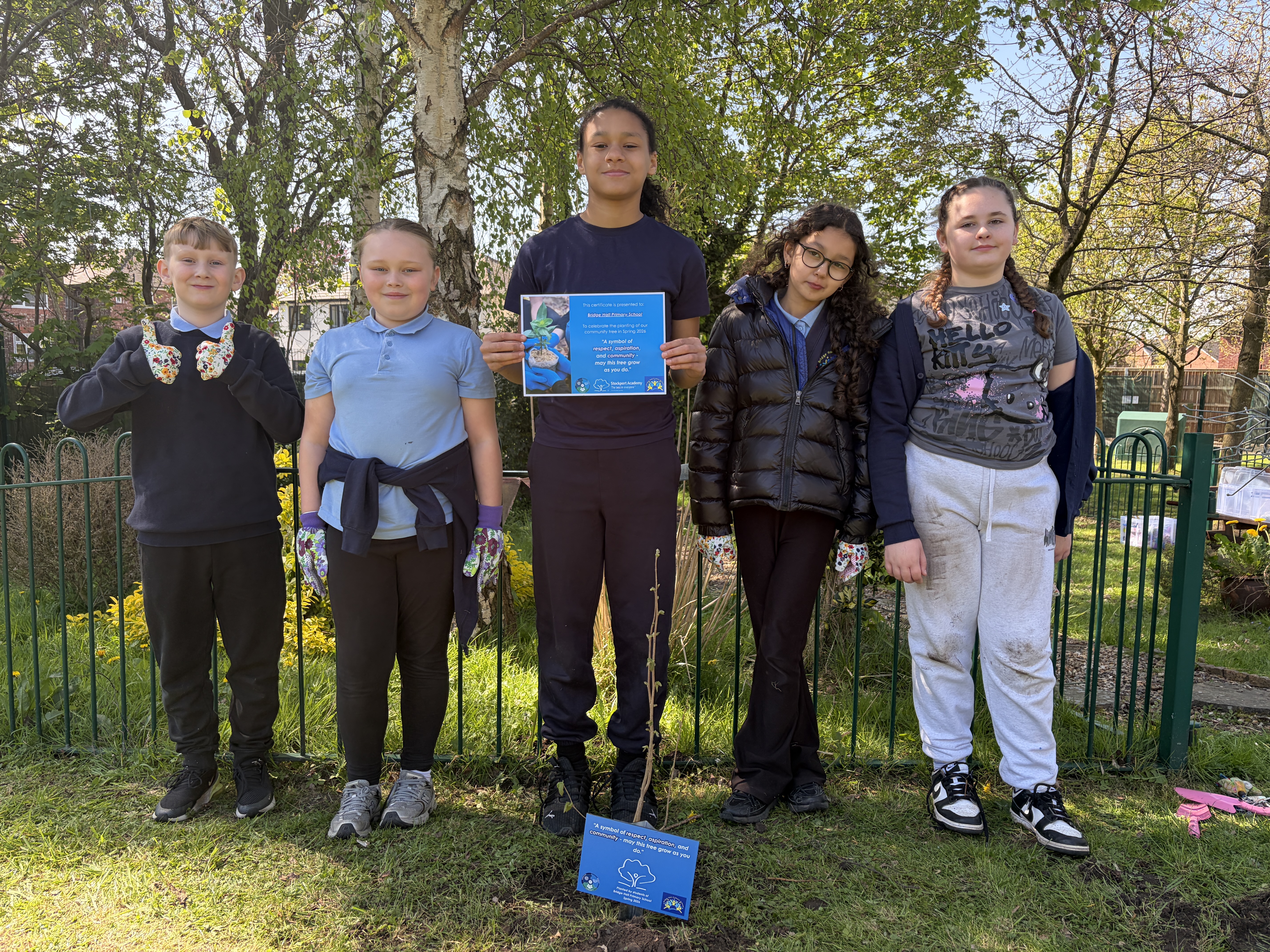Transition Trees help Year 6s put down roots at Stockport Academy